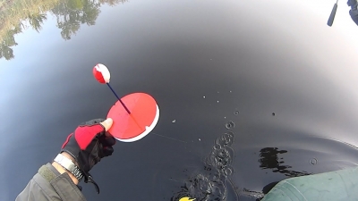 Ловля щуки на живца по открытой воде. Методы и способы
