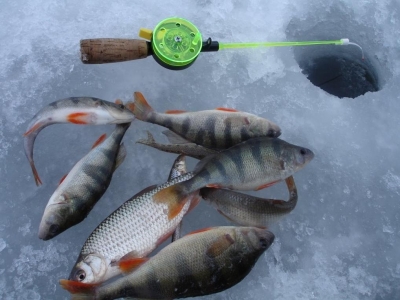Что делать если не клюет зимой на рыбалке