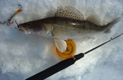 Рыбалка на судака по первому льду