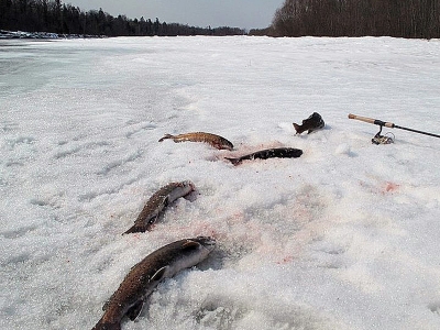 Рыбалка на ленка зимой