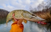 Рыбалка на щуку в октябре - Видео