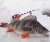 Зимняя рыбалка на малых реках