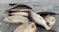 Зимняя рыбалка на пруду