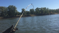 Рыбалка в начале мая - Видео