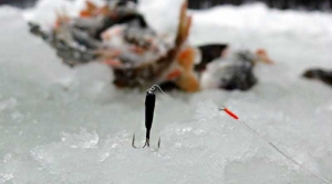 Зимняя рыбалка на чертик - Видео