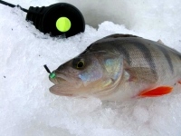 Рыбалка на безмотылку зимой