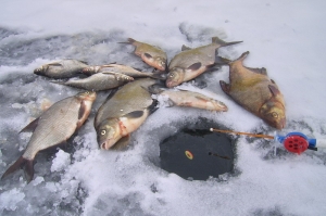 Рыбалка в марте со льда - Видео