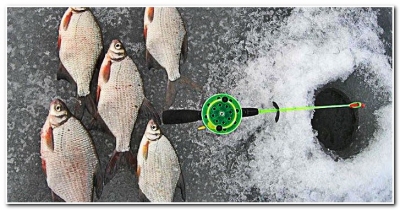Особенности зимней рыбалки на течении