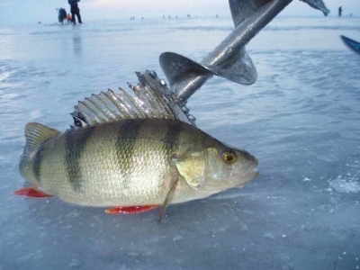 Бокоплав для зимней рыбалки: монтаж и ловля на хитрую приманку
