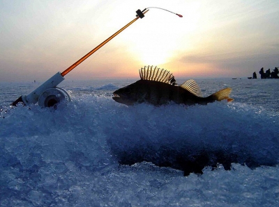 Видео. Зимняя рыбалка на Волге.