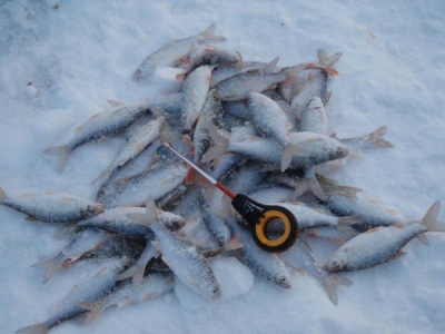 Зимняя рыбалка  в Новосибирске. Часть первая - Обь